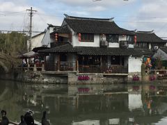 -枫泾丁氏烧卖(枫丽路店)