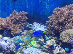 -珠海长隆海洋王国