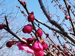 -杭州六谷生态休闲农庄有限公司