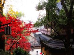 -灵隐飞来峰景区