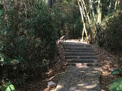 -福建鲤鱼洲酒店