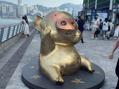 -星光大道
