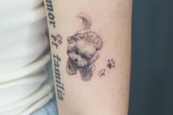 -众刺纹画·纹身·穿孔饰品·海娜定制