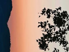 -济南国际园博园