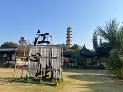 -江心屿景区