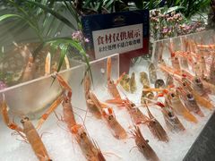 -Mr.Fish鱼鲜生海鲜放题(高德置地冬广场店)