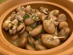 鸡汁发芽豆-骏莱海鲜鱼港(五角场店)