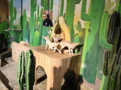 -萌宠奇缘(荣鼎店)