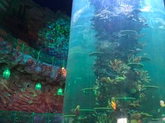 -青岛嘉年华主题乐园