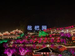 -枇杷园食为鲜火锅(南山店)