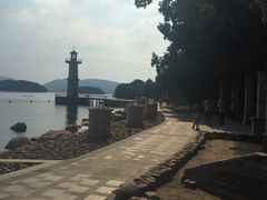 -逸廊大堂吧-下午茶·简餐-千岛湖自由洲际殿