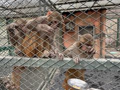 -水上乐园·欢乐世界