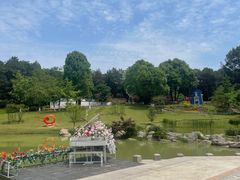 -铁山坪森林公园