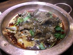 -望蝎门羊蝎子火锅(祭城店)