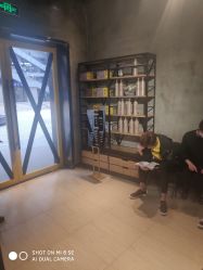 -YESIDO椰岛造型