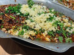 香辣炝锅鱼-树厨贵州菜(大十字店)