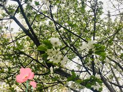 -雕刻时光咖啡馆(北航店)