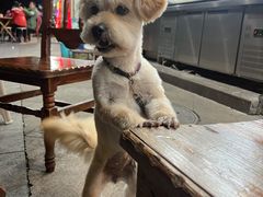 -浔味·山屿湖·正宗全鱼宴老字号