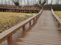 -汉长安城未央宫国家考古遗址公园