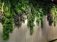 -威尔仕健身(海伦中心店)