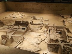 -洛阳周王城天子驾六博物馆