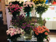 -SONGUOLIFE松果咖啡(七莘路店)
