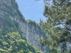 -重庆睡佛山森林公园