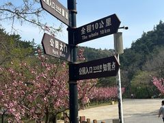 -金龙寺国家森林公园