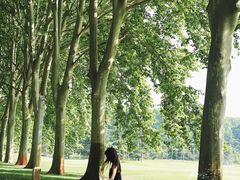 -河南省黄河迎宾馆