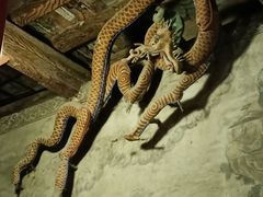 -张掖大佛寺景区