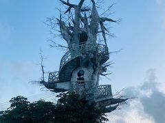 -芒洲湿地公园