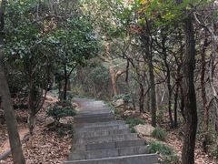 -杭州半山国家森林公园