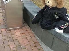 -爱丽丝冒险奇遇记