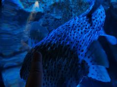 -成都浩海立方海洋公园