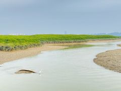 -洛阳桥