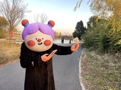 -盐城丹顶鹤湿地生态旅游区