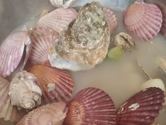 -赶海部落海鲜城(海阳路店)