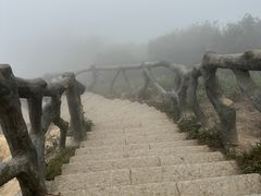 -梧桐山风景名胜区