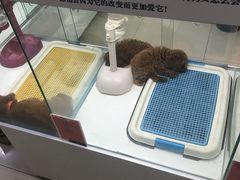 -北京英嘉国际影城(金源CINITY店)