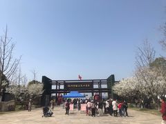 -杭州湾海上花田景区