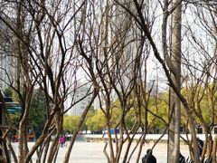 -郑和公园