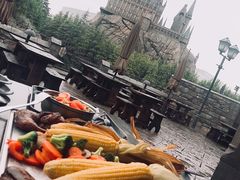 -哈利波特魔法世界