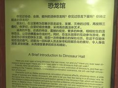 -呀路古热带植物园