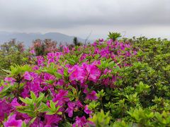 -北仑森林植物园