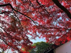 -惠山古镇·寄畅园