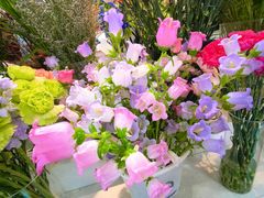 -花里花店(唐镇阳光天地店)