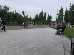 -眉山湿地公园(东坡区)
