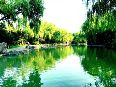 -洛阳市隋唐城遗址植物园