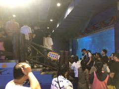 -石家庄海洋公园
