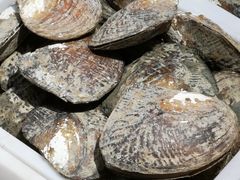 -东戴河风景区-止锚湾